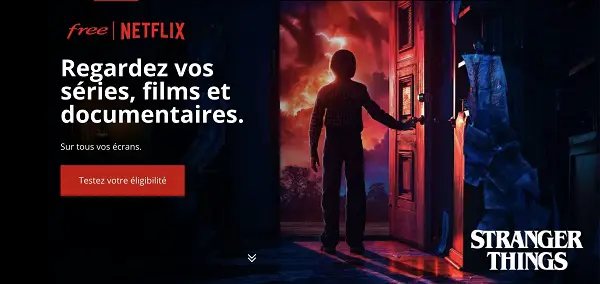 freebox netflix abbonement